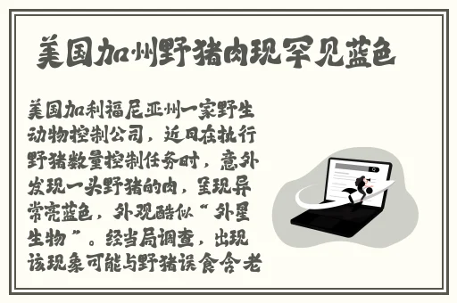 免费99精品国产自在现线